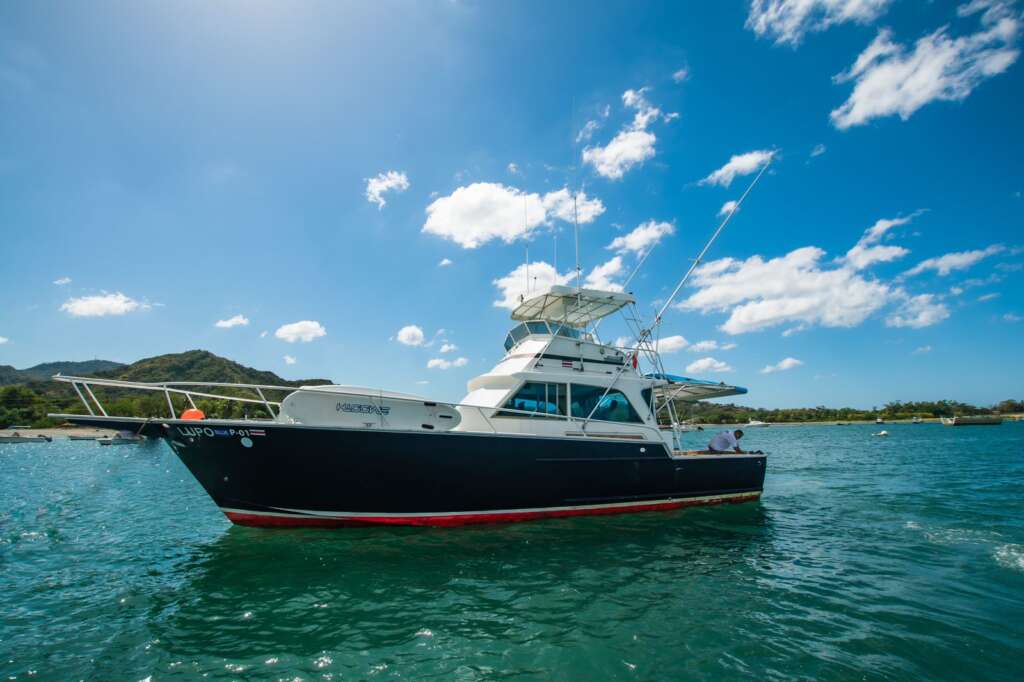 boat lupo blu on the sea